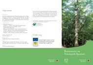 [PDF] Baumriesen im Naturpark Spessart