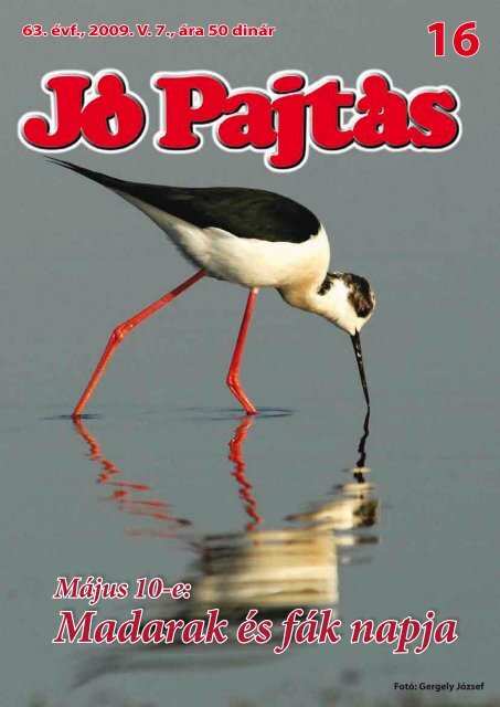 JÃ³ PajtÃ¡s - TippNet