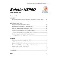 BoletÃ­n NEPSO - Instituto Paulo Montenegro