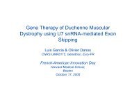 Gene Therapy of Duchenne Muscular Dystrophy using U7 snRNA ...