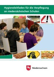 Hygieneleitfaden-Schulverpflegung - Arbeits- und ...