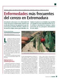 Enfermedades mÃ¡s frecuentes del cerezo en Extremadura