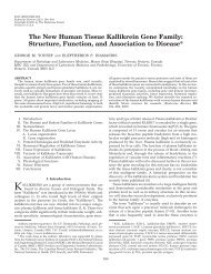 The New Human Tissue Kallikrein Gene Family - Endocrine Reviews