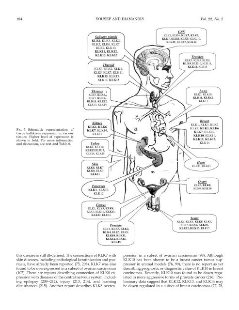 The New Human Tissue Kallikrein Gene Family - Endocrine Reviews