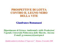 Intervento Prof. Romanazzi - Consorzio UNO