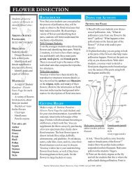 Flower Dissection - Arizona-Sonora Desert Museum