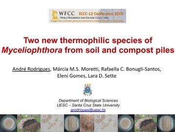 Two new thermophilic species of Myceliophthora (Ascomycota ...