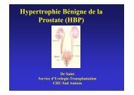 Pr Saint N247 HBP - PIRG