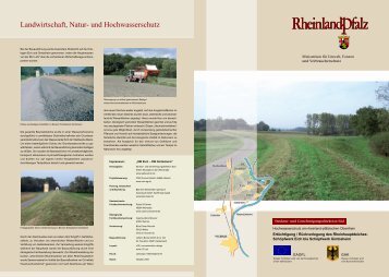 Deichertüchtigung Eich-Gimbsheim - Wasserwirtschaftsverwaltung ...