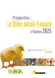 AVI 2025 V11 - Institut Technique de l'AVIculture