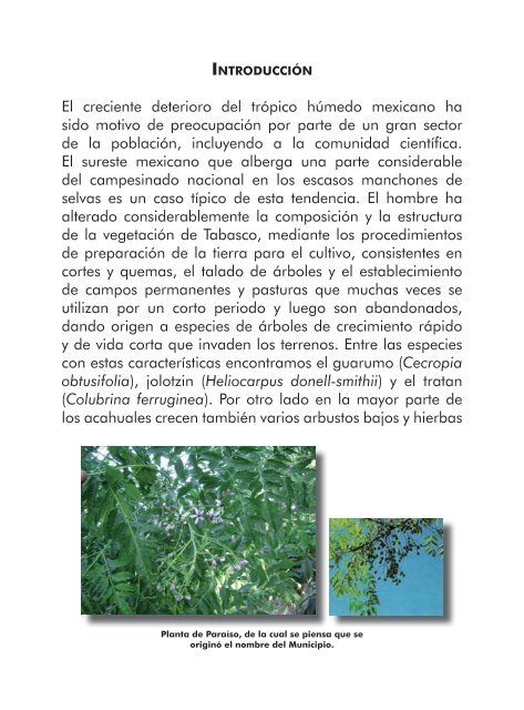 VegetaciÃ³n y Flora del Municipio de ParaÃ­so - Universidad JuÃ¡rez ...