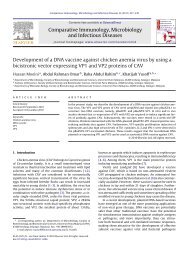 Development of a DNA vaccine against chicken anemia virus by ...