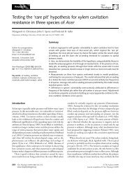 Testing the 'rare pit' hypothesis for xylem cavitation resistance in ...