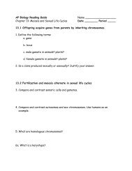 Chapter 13 Meiosis Reading Guide