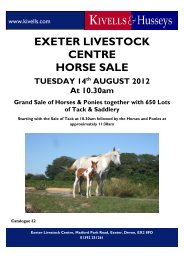 EXETER LIVESTOCK CENTRE HORSE SALE TUESDAY ... - Kivells