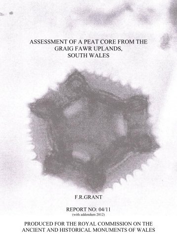Assessment of a peat core from the Graig Fawr uplands of South ...