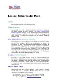 Los mil Sabores del Mole