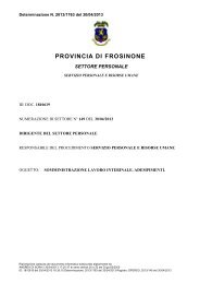 Determina dirigenziale 1763 - 2013 - Provincia di Frosinone