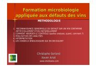 Formation microbiologie appliquée aux défauts des vins - Union des ...