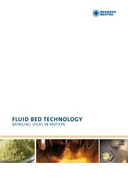 Neuhaus Neotec 'Fluid Bed Technology' - Vision Engineers