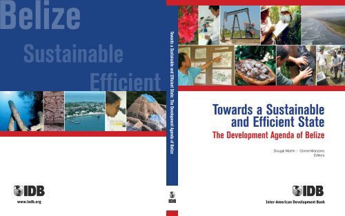 Towards a Sustainable and Efficient State The Development ...