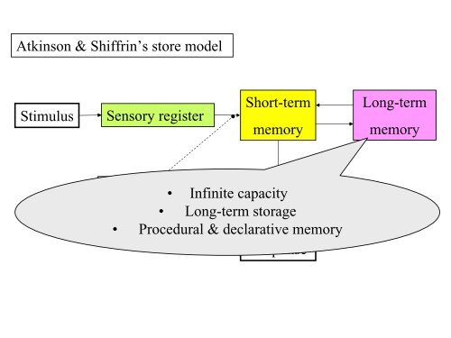 Jean Piaget's Theory of Cognitive Development - Psychology