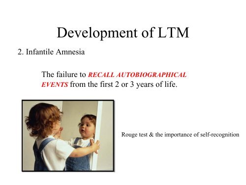 Jean Piaget's Theory of Cognitive Development - Psychology