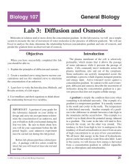 Lab 3: Diffusion and Osmosis - University of Evansville