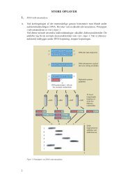 DNA-sekvensanalyse