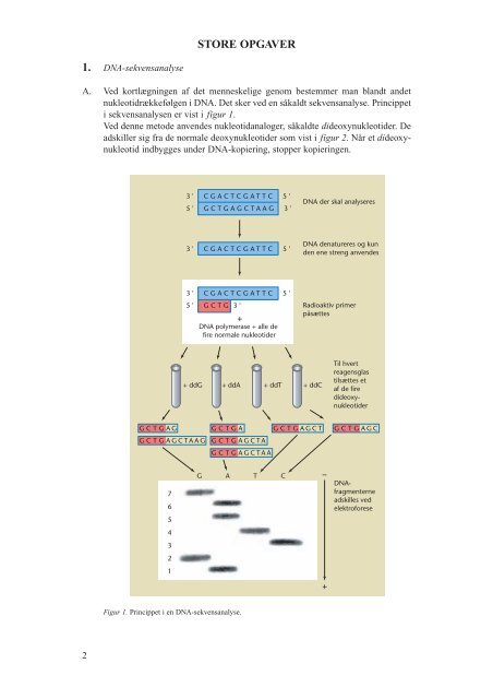 DNA-sekvensanalyse