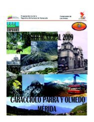 Caracciolo Parra O 2009.pdf - Corpoandes