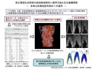 高圧環境乱流燃焼の直接数値解析に適用可能な反応機構開発 － 多様 ...