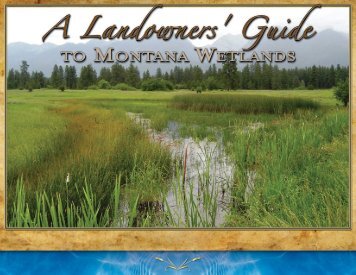 Landowners' Guide to MT Wetlands - Montana Watercourse