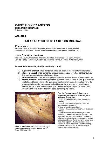 Anexo al Cap I-132 Atlas anatÃ³mico de la regiÃ³n inguinal - sacd.org.ar