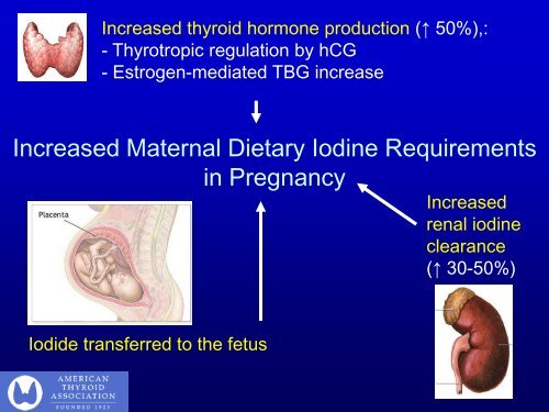 Iodine Needs in the Pregnant and Postpartum Woman - American ...