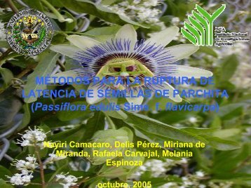 MÉTODOS PARA LA RUPTURA DE LATENCIA DE ... - CEDAF