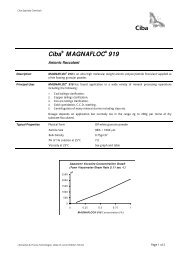 CibaÂ® MAGNAFLOCÂ® 919