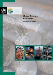 Metal Stocks in Society â Scientific Synthesis - UNEP