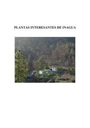 PLANTAS INAGUA - ACEC. Viera y Clavijo