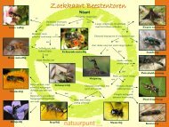 Download de zoekkaart van de beestentoren - Natuurpunt