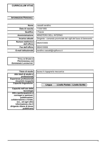 curriculum vitae - Corpo Nazionale dei Vigili del Fuoco