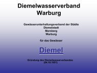 Helmut Schmitz, GeschÃƒÂ¤ftsfÃƒÂ¼hrer Diemelwasserverband - Weser NRW