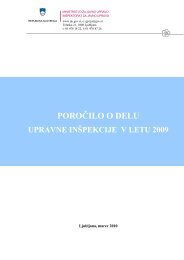 poročilo o delu upravne inšpekcije v letu 2009 - Ministrstvo za ...