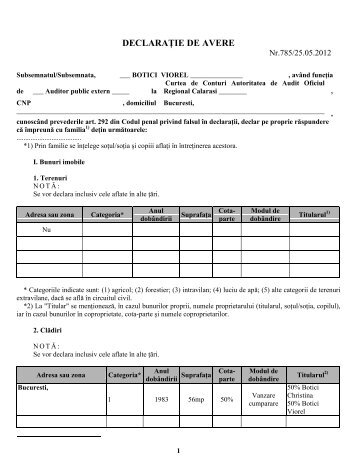 Botici_Viorel - Curtea de Conturi