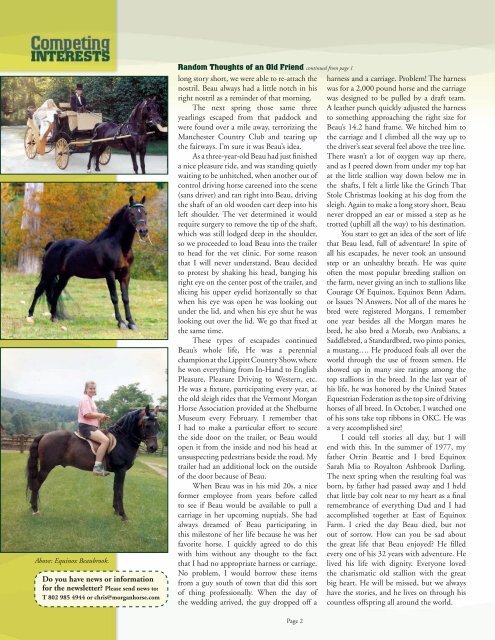 Random Thoughts of an Old Friend - American Morgan Horse ...