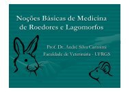 Noções Básicas de Medicina de Roedores e Lagomorfos - SOVERGS