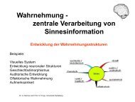 Wahrnehmung - mehrke.de