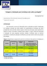 Calagem e adubaÃ§Ã£o para hortaliÃ§as sob cultivo protegido - IAC