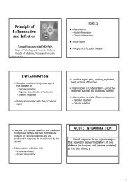 Principle of Inflammation and Infection - Faculty of Medicine