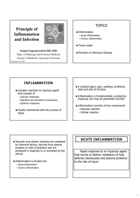 Principle Of Inflammation And Infection Faculty Of Medicine